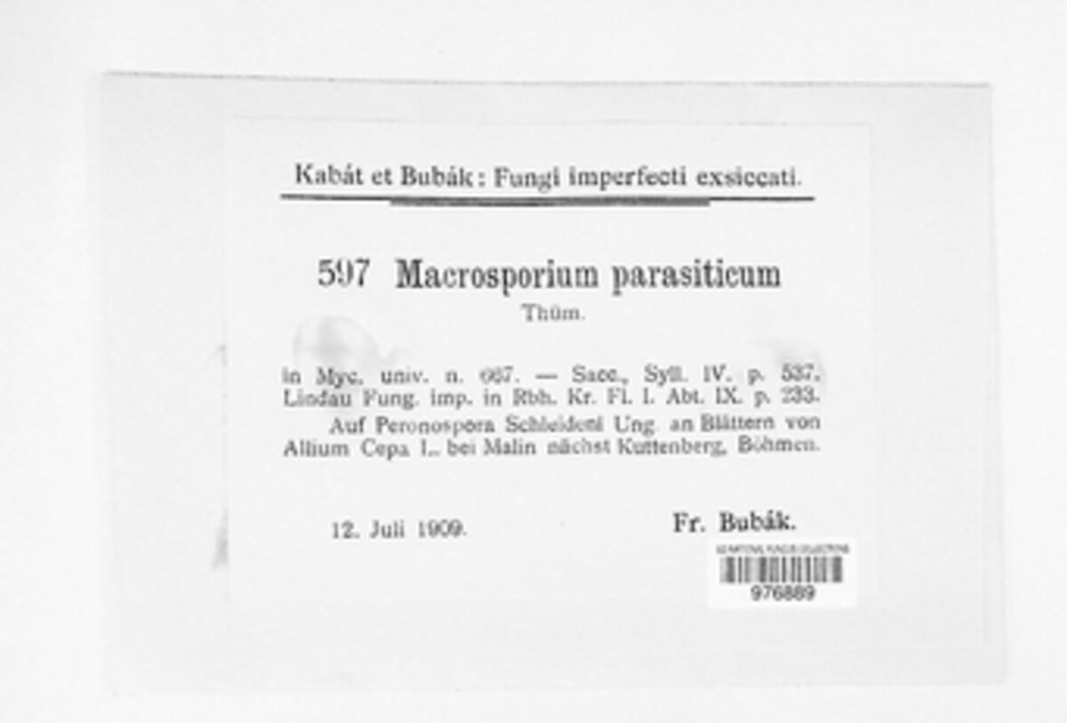 Stemphylium vesicarium image